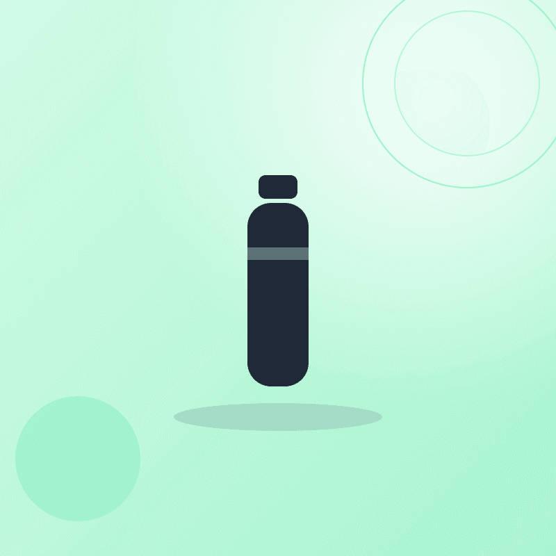 Explorer Insulated Bottle